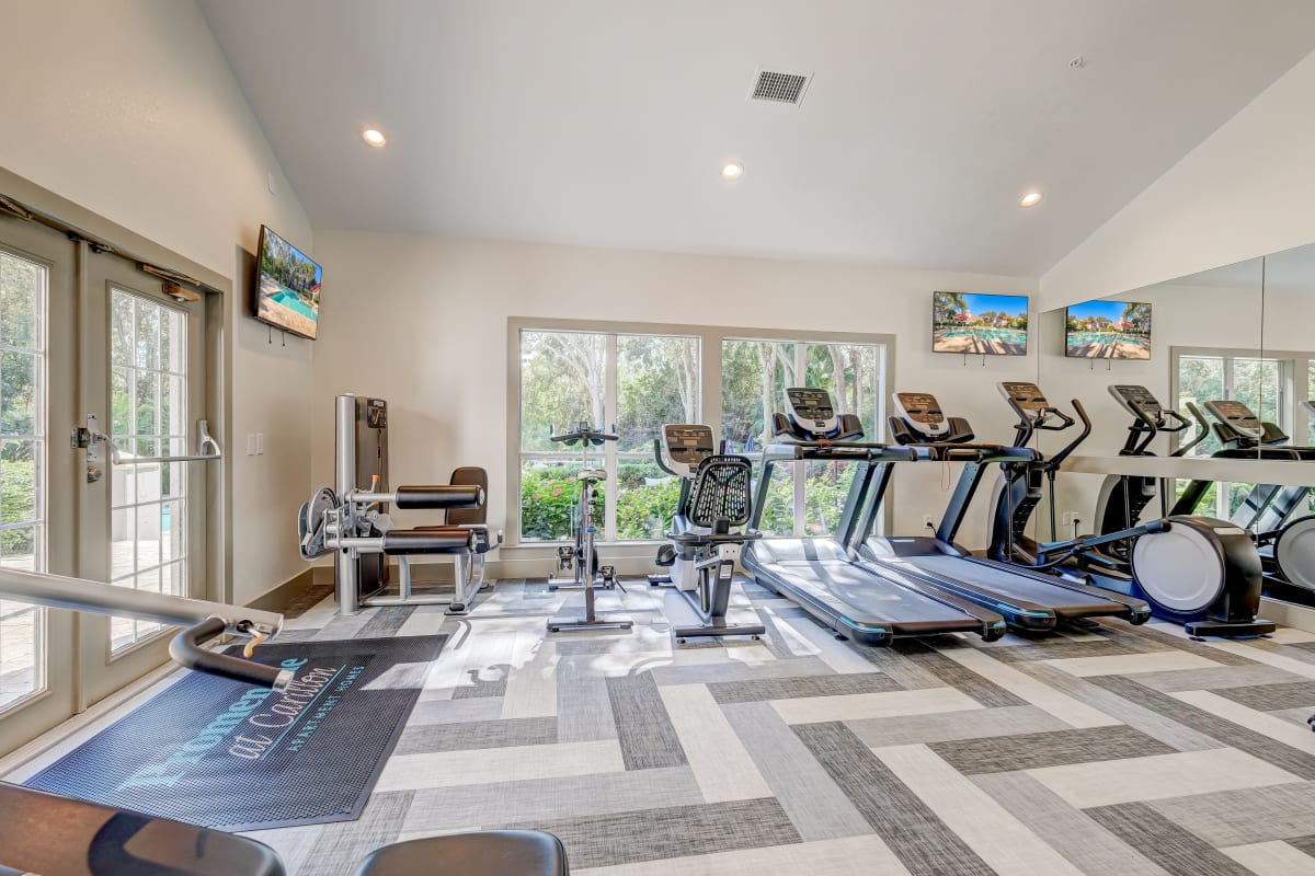 Apartments near Eckerd College Photos Promenade at Carillon